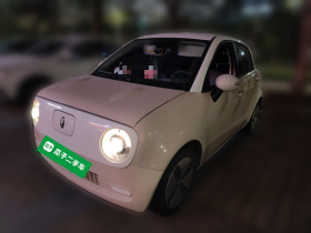 欧拉黑猫 2021款 301km 萌宠版