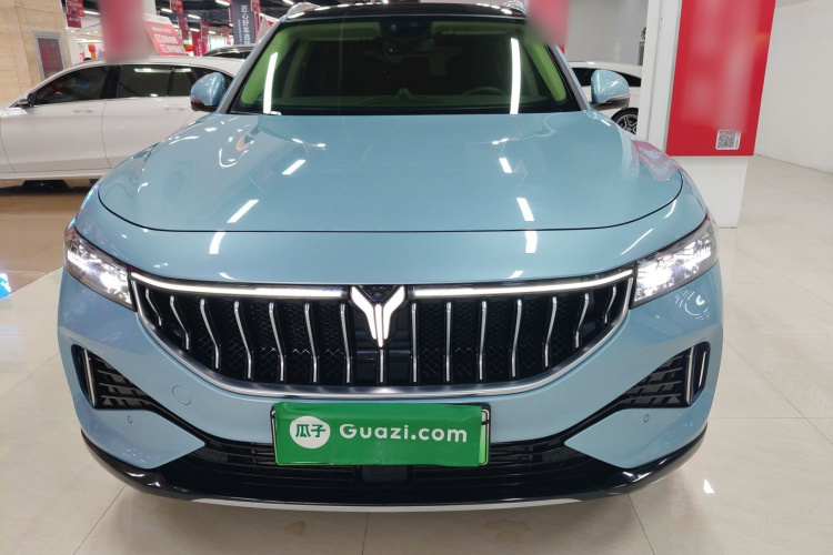 岚图汽车 岚图FREE 2021款 四驱标准增程专属豪华套装车身外观2