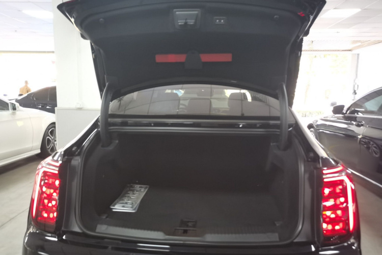 红旗H9 2024款 2.0T 旗畅 私享风尚版机舱底盘23