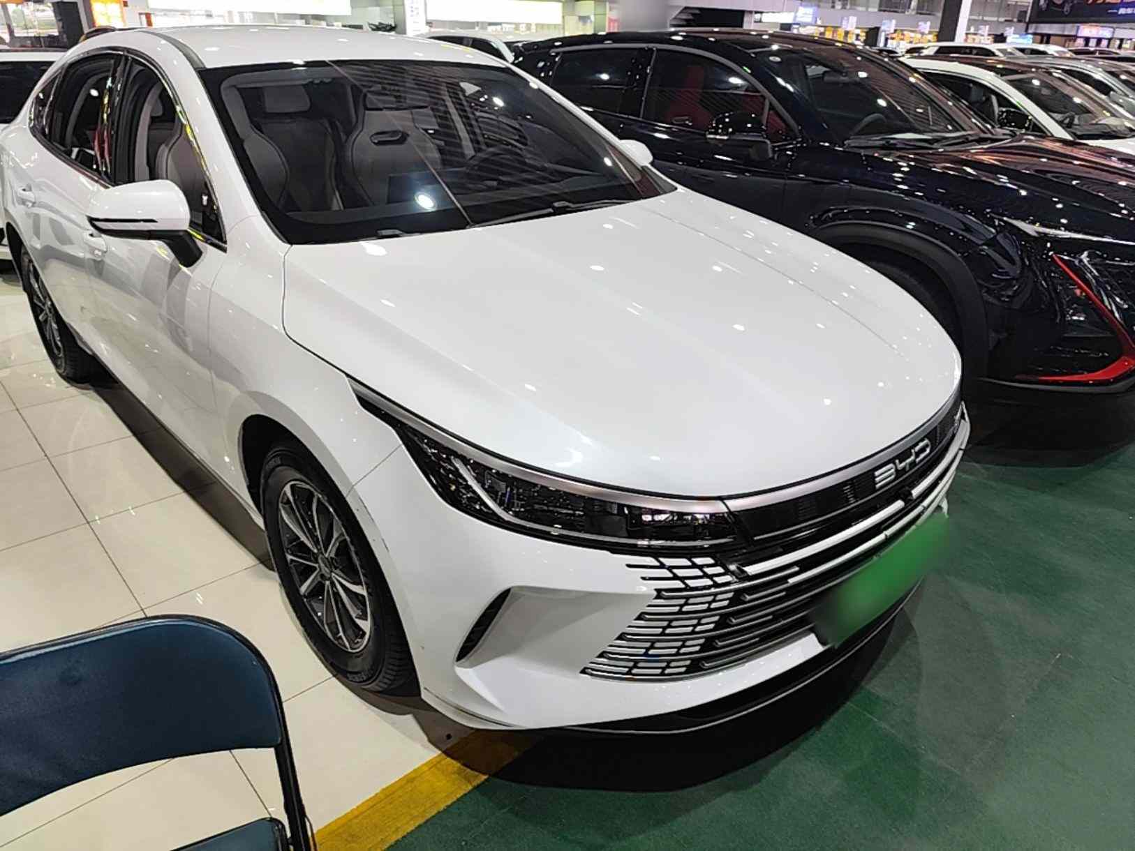 比亚迪 驱逐舰05 2024款 荣耀版 DM-i 55KM 豪华型(5)