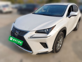 雷克萨斯NX 2018款 300 前驱 锋行版