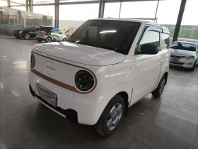 吉利银河 2024款 熊猫mini 200km 耐力熊