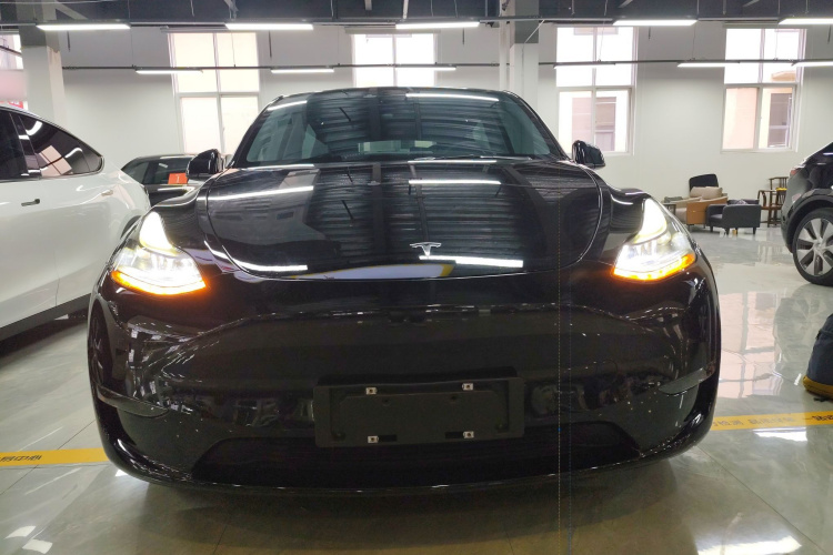 特斯拉 Model Y 2021款 Performance高性能全轮驱动版车身外观6001