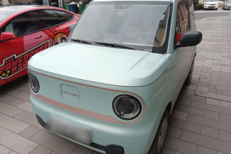 吉利银河 2023款 熊猫mini 200km 耐力熊