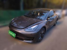 特斯拉 Model 3 2022款 后轮驱动版