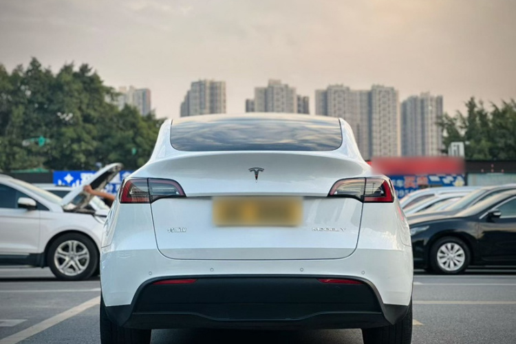 特斯拉 Model Y 2021款 标准续航后驱版车身外观6002
