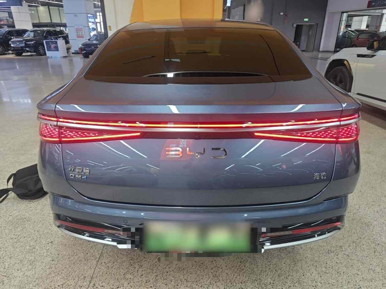 比亚迪 海豹 2023款 DM-i 1.5T 121km 尊荣型(4)