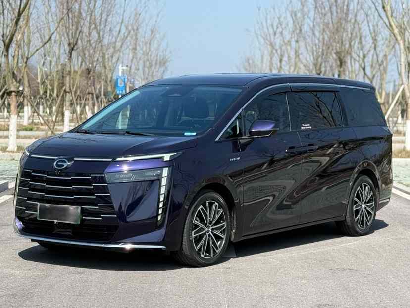 广汽传祺 传祺E8新能源 2024款 150km MAX(4)