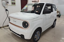 吉利银河 2024款 熊猫mini 200km 耐力熊