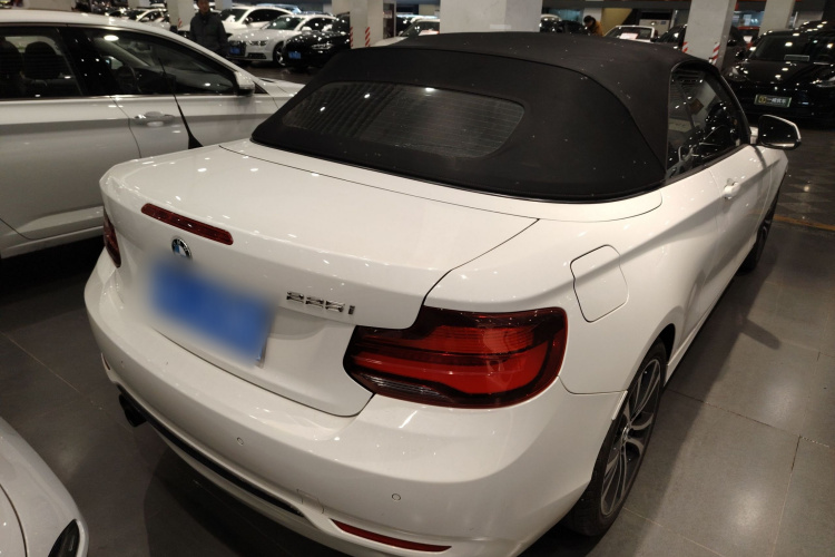 宝马2系(进口) 2019款 225i 敞篷轿跑车 运动设计套装车身外观6005