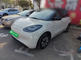 五菱汽车 五菱缤果 2024款 333km 悦享款