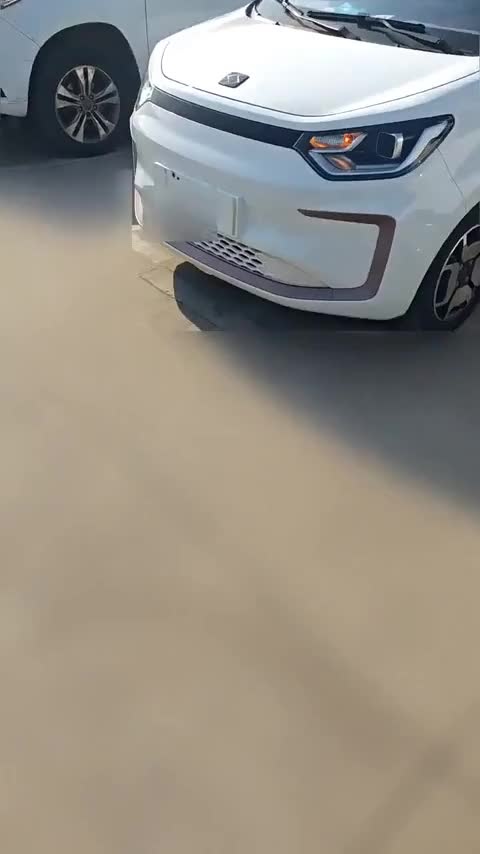 思皓 2022款 花仙子款 满天星讲解2