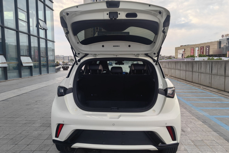 比亚迪 海豚 2024款 荣耀版 420km 时尚版车身外观6010