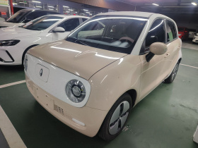 欧拉黑猫 2022款 301km 萌宠版 磷酸铁锂