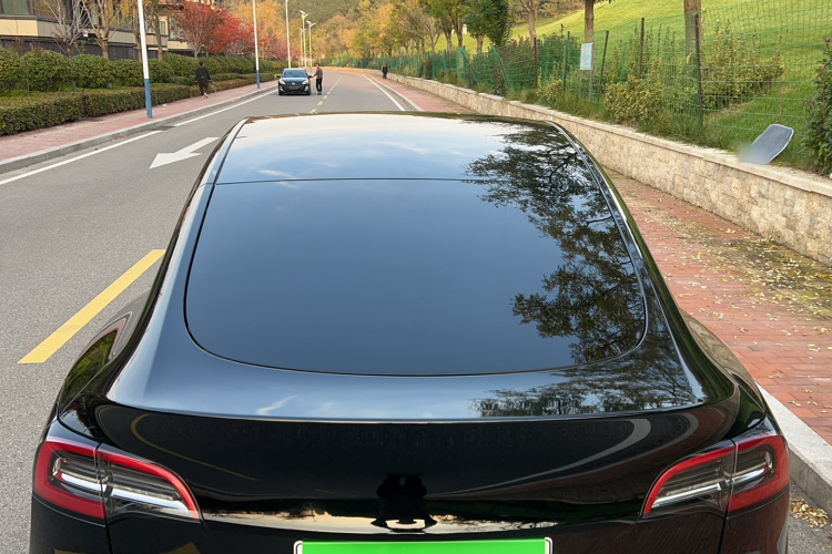 特斯拉 Model Y 2022款 后轮驱动版局部细节9008