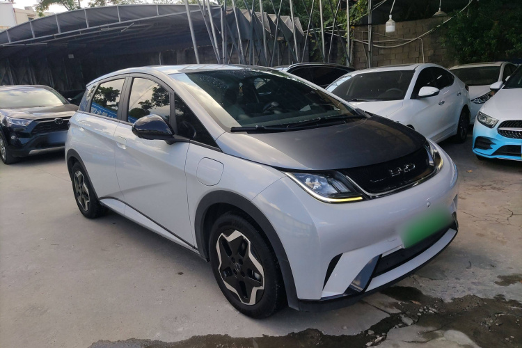 比亚迪 海豚 2021款 405km 自由版车身外观3