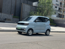 五菱汽车 宏光MINIEV 2020款 悦享款 磷酸铁锂