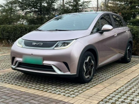 比亚迪 海豚 2021款 405km 时尚版