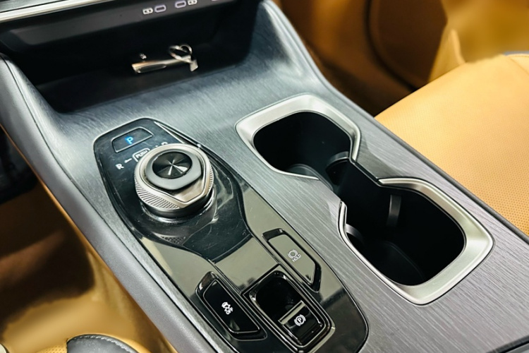 雷克萨斯RZ 2023款 450e 四驱纵享版局部细节18