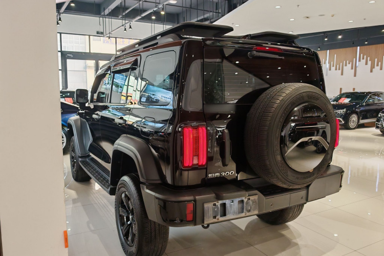 坦克300 2024款 2.0T 征服者车身外观6003