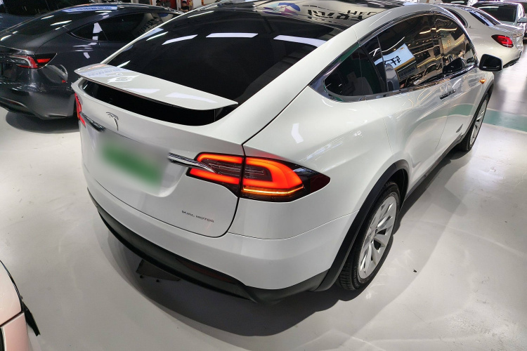 特斯拉 Model X 2019款 长续航版车身外观7