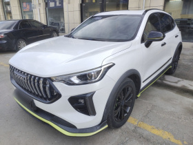 哈弗赤兔 2021款 激擎版 1.5T 白银兔