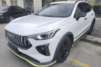 哈弗赤兔 2021款 激擎版 1.5T 白银兔