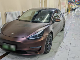 特斯拉 Model 3 2022款 Performance高性能全轮驱动版