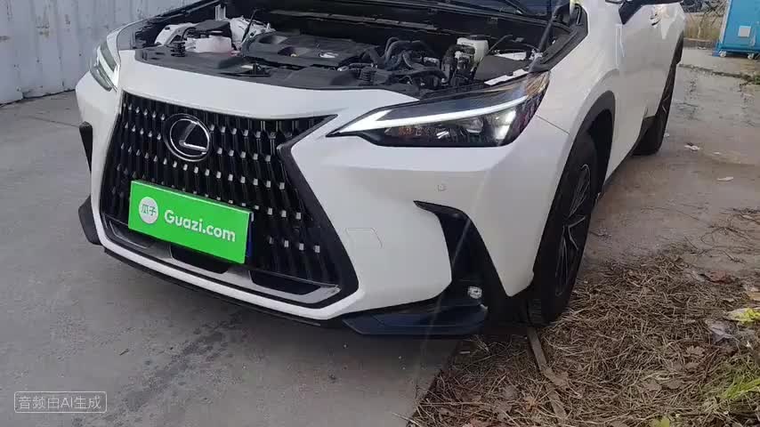 雷克萨斯NX 2023款 350h 前驱 创悦版检测视频1