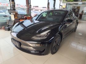 特斯拉 Model 3 2020款 标准续航后驱升级版