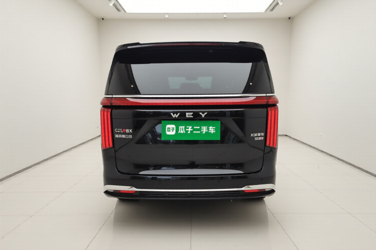 魏牌 高山 2025款 四驱高山8车身外观6