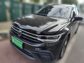 大众 途观L 2025款 出众款 300TSI 自动两驱龙腾版