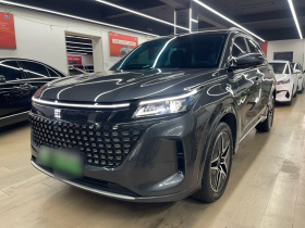 蓝电E5 2024款 荣耀版 100KM臻享型 7座