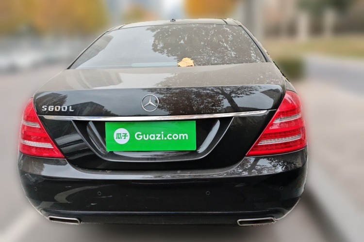 奔驰S级 2010款 S 300 L 商务型车身外观6004