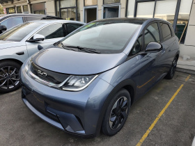 比亚迪 海豚 2024款 荣耀版 420km 时尚版