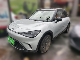 smart精灵#1 2022款 Premium版