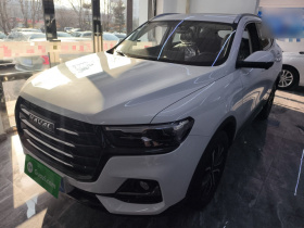 哈弗H6 2025款 1.5T 国潮都市版