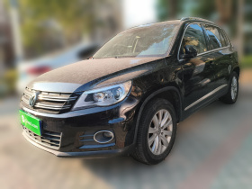 大众 途观 2010款 2.0TSI 自动四驱旗舰版