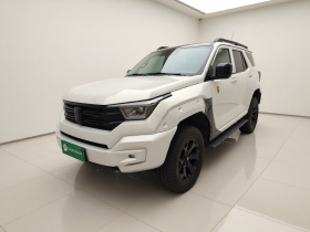 坦克400新能源 2024款 Hi4-T 越野版