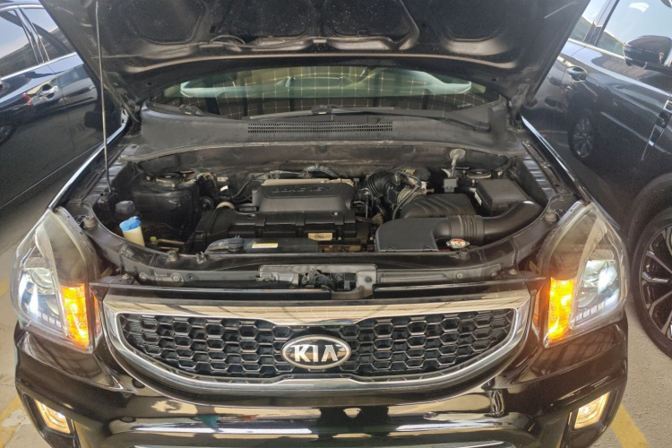 起亚 狮跑 2013款 2.0L 自动两驱版GL机舱底盘24