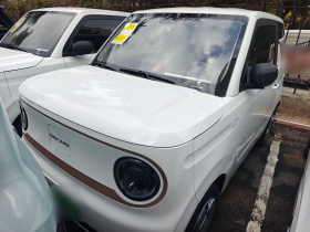 吉利银河 2024款 熊猫mini 200km 耐力熊