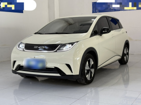 比亚迪 海豚 2023款 420km 自由版