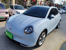 欧拉好猫 2023款 401km标准续航 尊贵型 磷酸铁锂