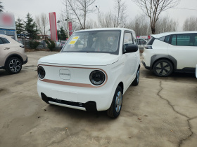 吉利银河 2024款 熊猫mini 200km 耐力熊