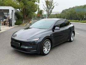 特斯拉 Model Y 2025款 长续航全轮驱动 首发版