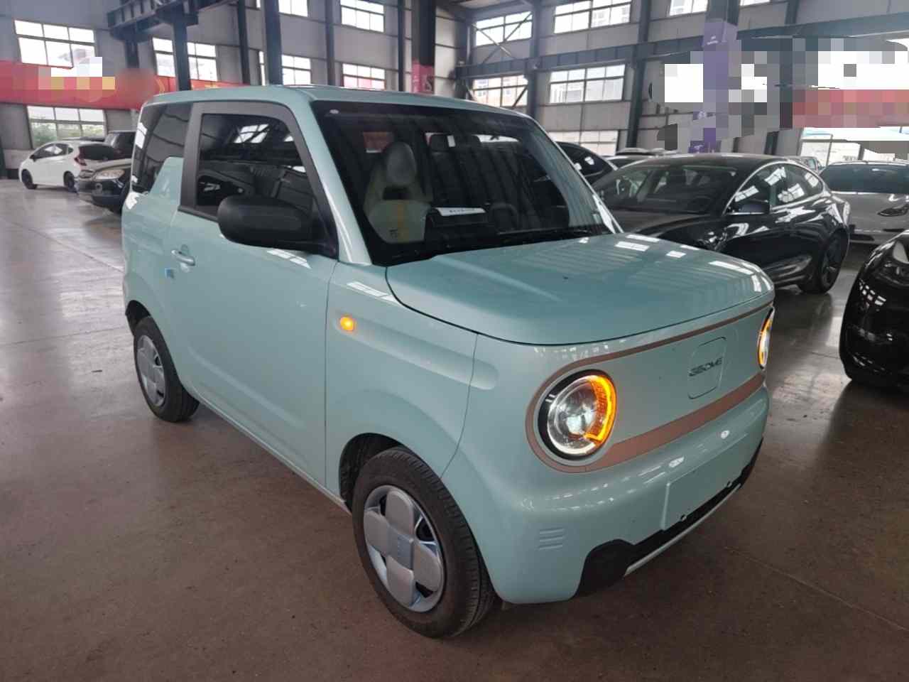 吉利银河 2024款 熊猫mini 200km 耐力熊(5)