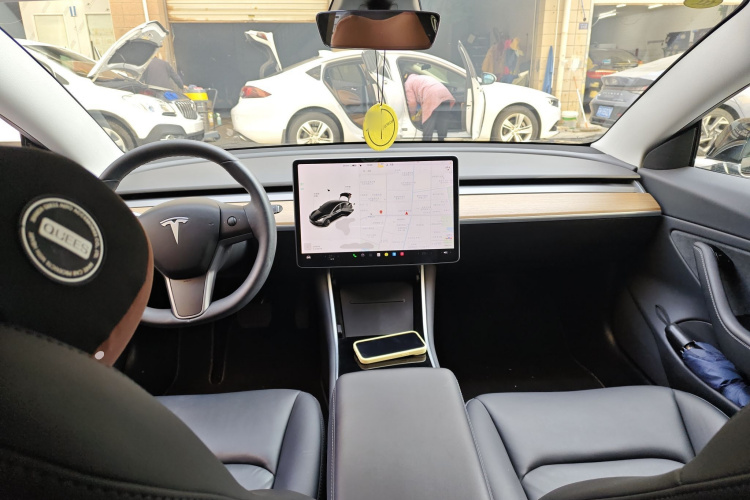 特斯拉 Model 3(进口) 2019款 长续航全轮驱动版中控内饰12