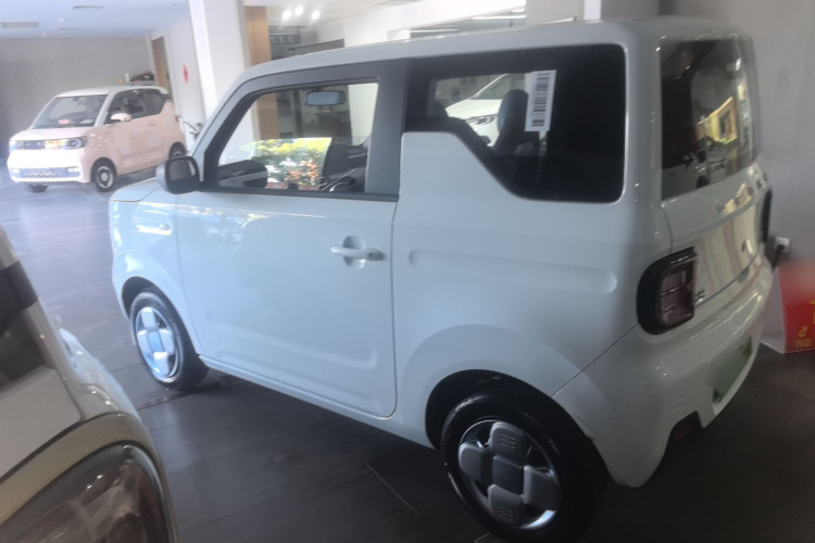 吉利银河 2024款 熊猫mini 200km 耐力熊车身外观4