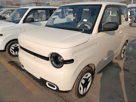 吉利银河 熊猫 2025款 210km 元气熊