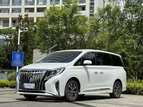 广汽传祺 传祺M8 2021款 领秀系列 390T 尊贵版